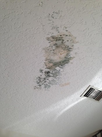Drywall Repair for Ceilings in Coral Springs, FL